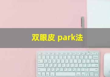 双眼皮 park法